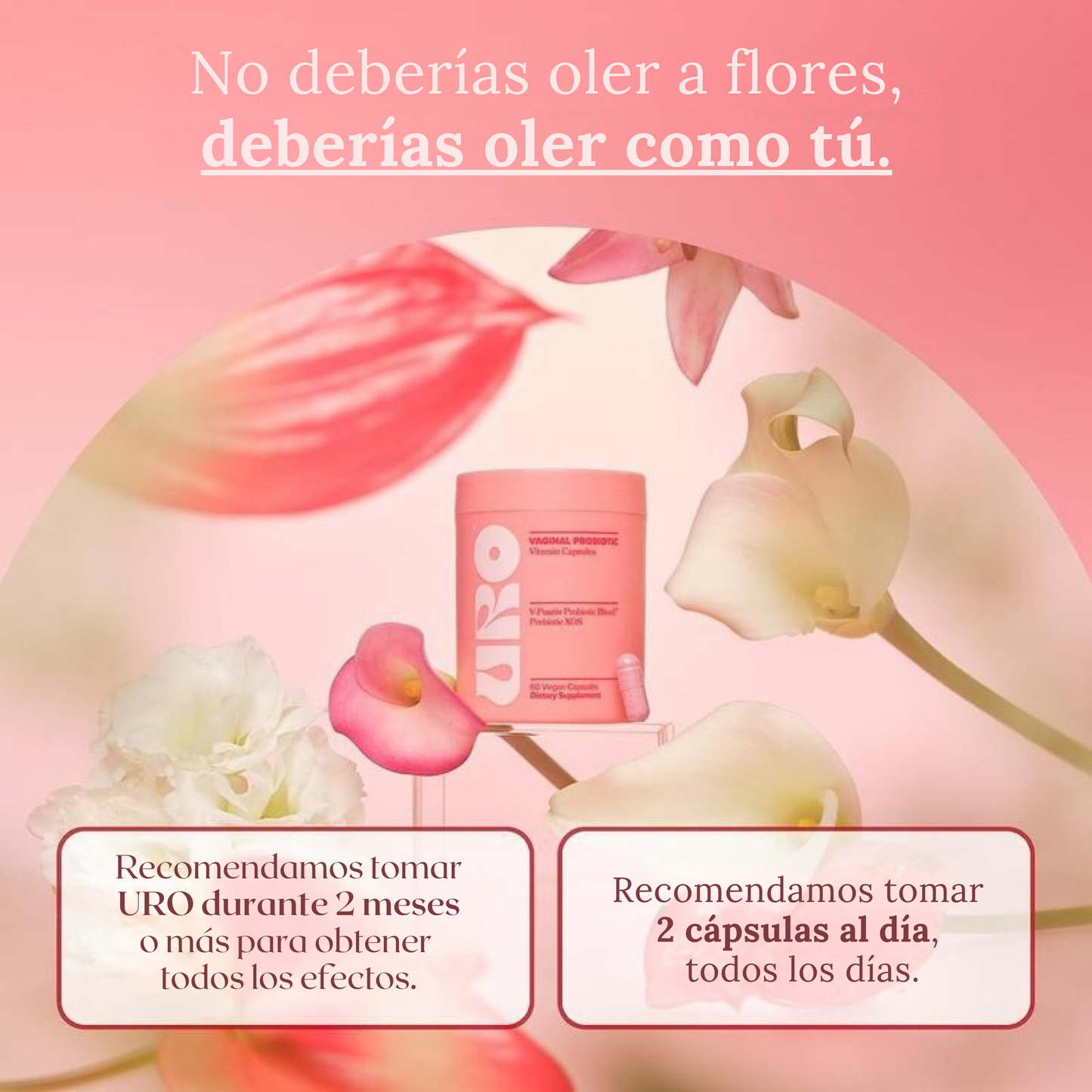 VELAIZE™ PROBIOTICO VAGINAL DEFENSE